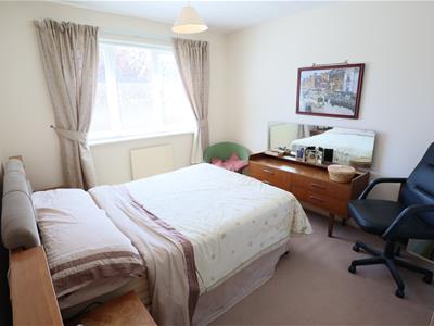 Picture 13